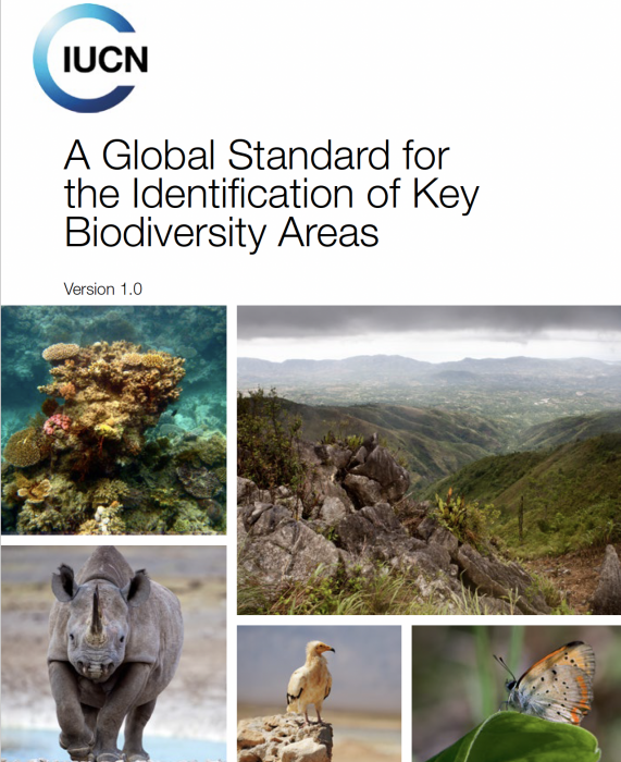 A Global Standard for the Identification of Key Biodiversity Areas - Instituto Regional del Patrimonio Mundial en Zacatecas