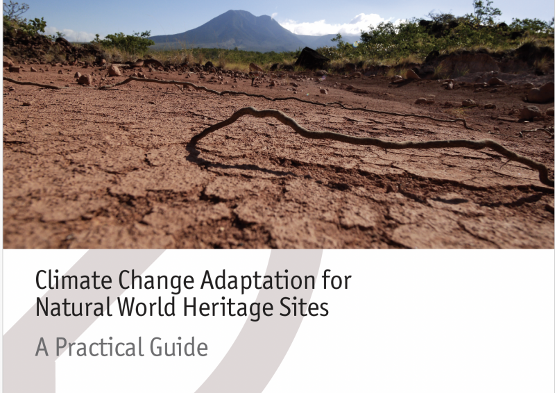 Climate Change Adaptation for Natural World Heritage Sites. A Practical Guide - Instituto Regional del Patrimonio Mundial en Zacatecas