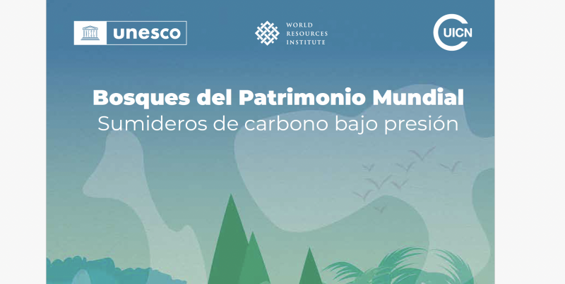 Bosques del Patrimonio Mundial Sumideros de carbono bajo presión - Instituto Regional del Patrimonio Mundial en Zacatecas