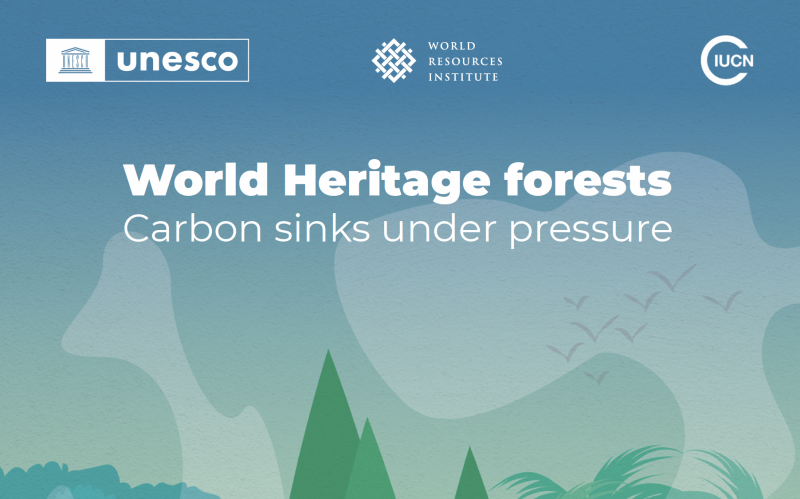 World Heritage forests Carbon sinks under pressure - Instituto Regional del Patrimonio Mundial en Zacatecas