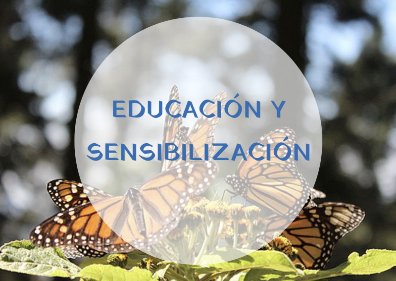 Educación y Sensibilización - Instituto Regional del Patrimonio Mundial en Zacatecas