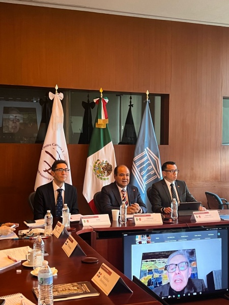 Informe de Actividades 2024 y Aprobación del Plan de Trabajo 2025 del IRPMZ - Noticias y Eventos de Instituto Regional del Patrimonio Mundial en Zacatecas