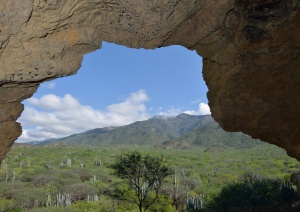 Valle Tehuacán-Cuicatlán: hábitat originario de Mesoamérica - Instituto Regional del Patrimonio Mundial en Zacatecas